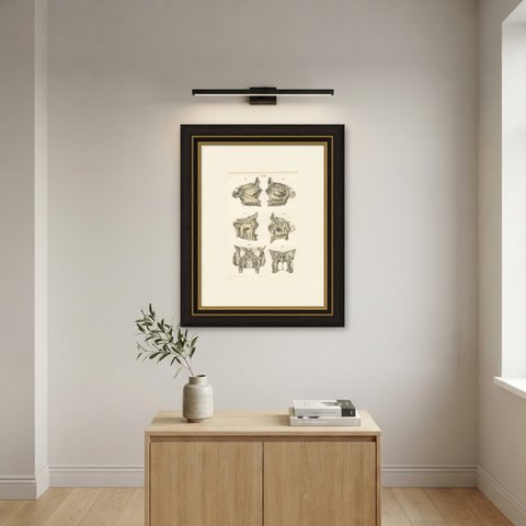 The Bony Nasal Cavity, Antique Hirschfeld Anatomy Print, 1866, shown framed on a wall