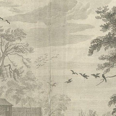 Old and Interesting Rare Print of a Study of Horses, ca.1665, close-up 2