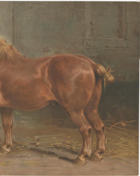 Antique Print of the Suffolk Horse by O. Eerelman, 1898, view 5