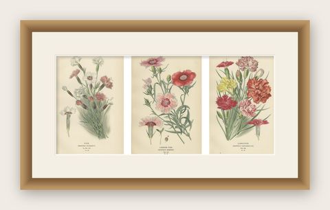 Edwardian Blossoms: A Triptych of Garden Elegance, 1896, shown framed