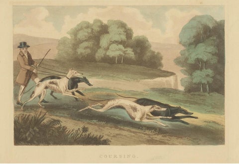 Antique Print of Hunting Dogs Chasing, circa 1880, view 3