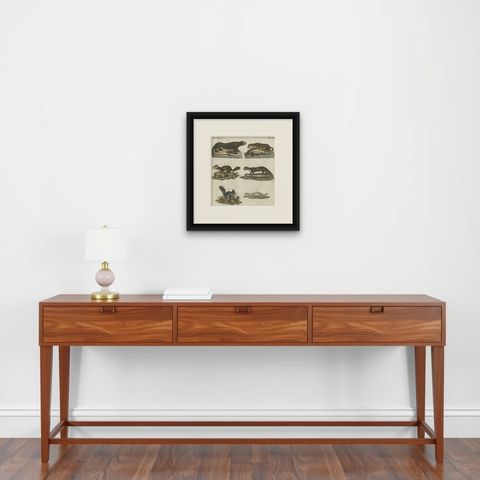 Antique Print of Otters, Martens, Ermine, a Squirrel and a Beaver, circa 1820, shown framed on a wall