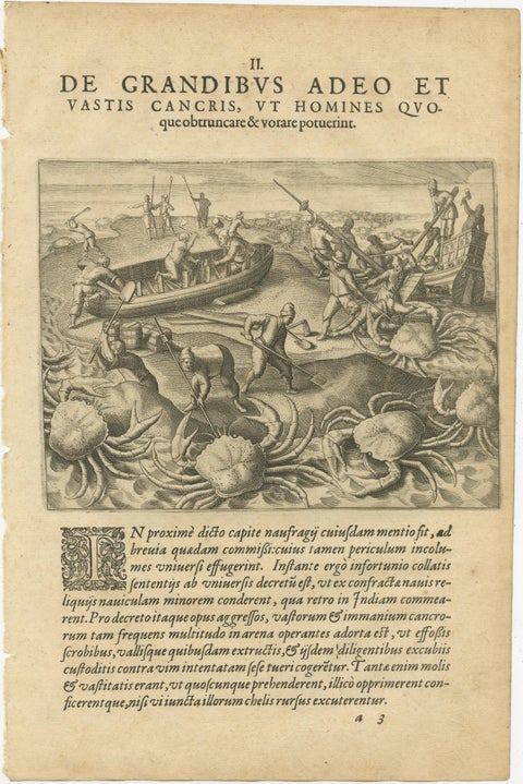 Exotic Encounters: Giant Crabs, Tortoises, Whales, and Cockfights - De Bry, 1598, view 3