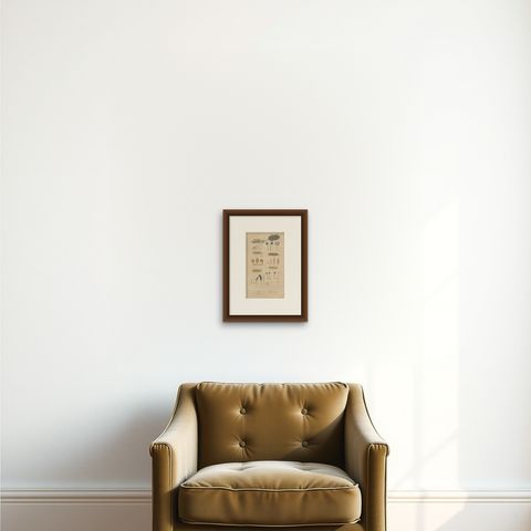 Fungal Forms: Illustrations of Mycological Diversity, 1845, shown framed on a wall