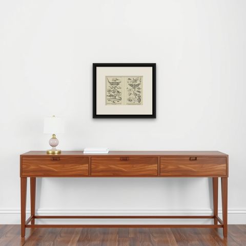 Antique Zoological Engravings of Reptiles, Fish & Insects, c.1800, shown framed on a wall