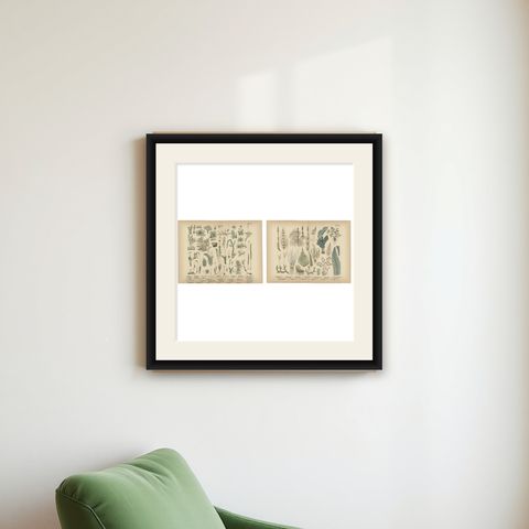Antique Botanical Atlas Plates, Hand-Colored Wood Engravings, 1885, shown framed on a wall
