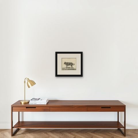 Antique Print of a Sheepdog by Fessard, 1819, shown framed on a wall