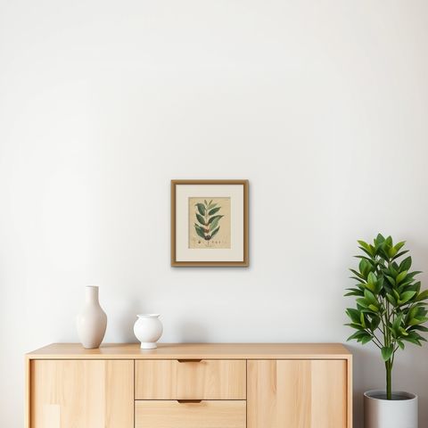 Antique Coffee Botanical Print, Coffea Arabica, Hand Colored, c.1831, shown framed on a wall