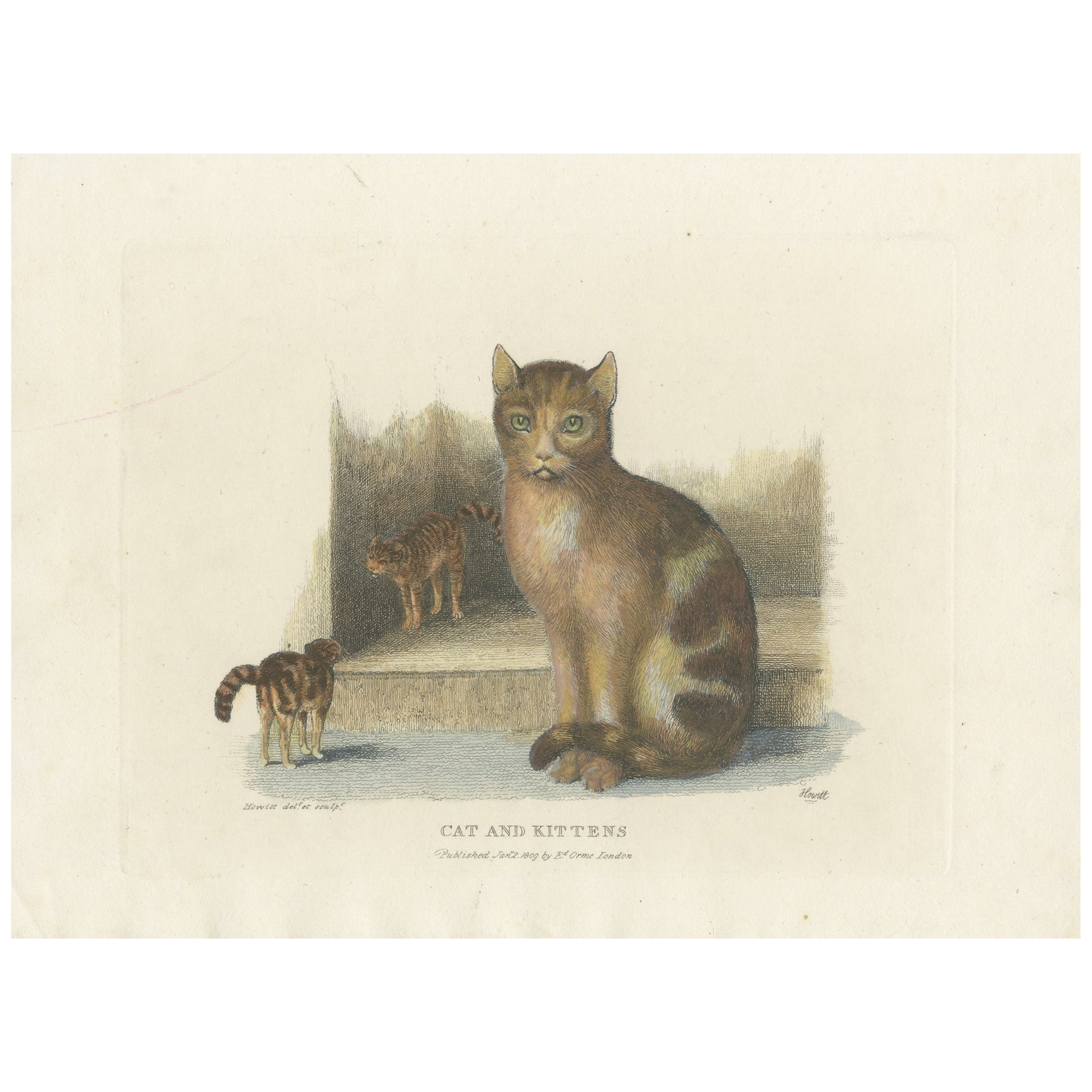 Cat and Kittens, 1809 Hand-Colored Etching by Samuel Howitt