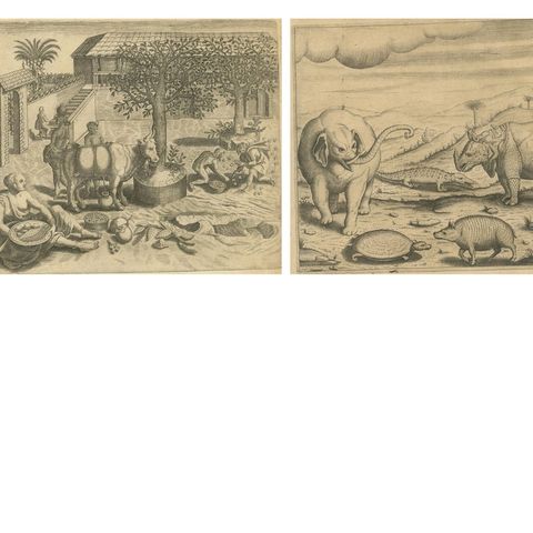De Bry’s India and East Indies, Cockfights, Sacred Trees & Exotic Animals, 1598, close-up 5