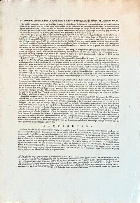 Manx Shearwater, Antique Seabird Engraving by Nozeman & Sepp, 1809, view 10
