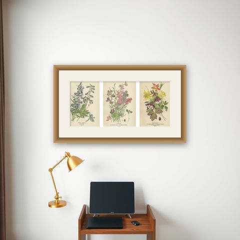 Botanical Elegance: A Triptych of Garden and Greenhouse Splendors, 1896, shown framed on a wall