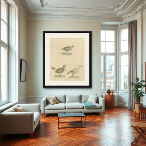 Antique Game Birds Lithograph by Karl Joseph Brodtmann, 1816, shown framed in a room