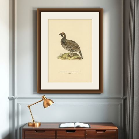 Antique Bird Print of the Hazel Grouse by Von Wright '1927', shown framed on a wall