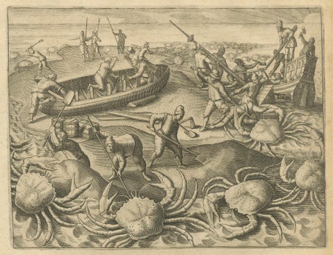 Exotic Encounters: Giant Crabs, Tortoises, Whales, and Cockfights - De Bry, 1598, close-up 2