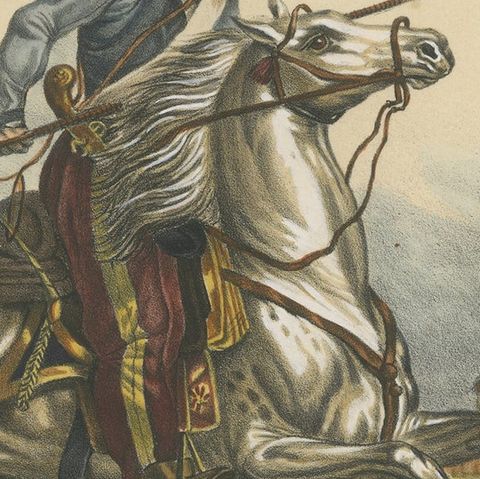 Antique Hand Colored Print of a Tartar Horse, close-up 2