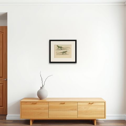 Antique Herpetological Print: Illustration of Green Crested Lizards, 1837, shown framed on a wall