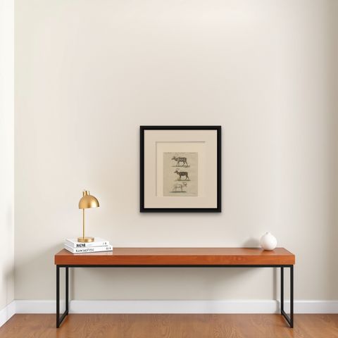 Antique Reindeer & Northern Deer Engraving, Bertuch, c. 1792, shown framed on a wall