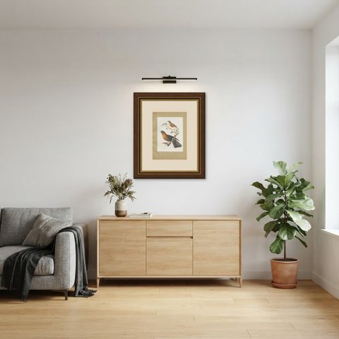 Thrushes, Brazilian Bird Print, Descourtilz, 1944, shown framed in a room