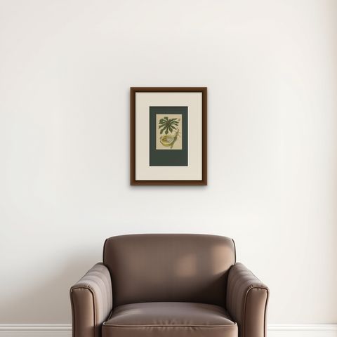 Papaya and Insects, 19th-Century Hand-Coloured Lithograph after Merian Plate 45, shown framed on a wall
