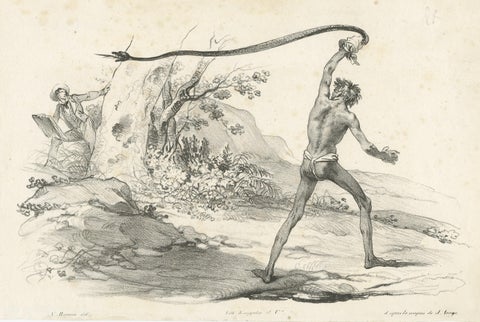 Antique Print of the Encounter with a Black Snake, view 3
