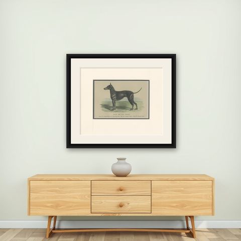 Antique Dog Print of a Black and Tan Terrier, circa 1890, shown framed on a wall