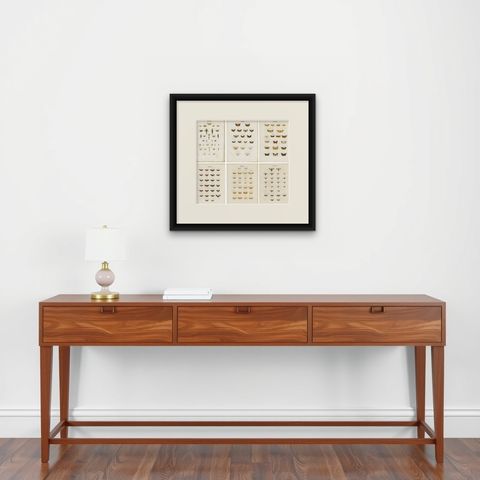 Set of 6 Antique Prints of Various Butterflies and Moths by Ramann, circa 1870, shown framed on a wall