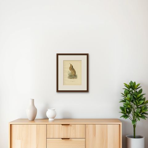 Antique Bird Print of the Eurasian Bittern by Von Wright '1929', shown framed on a wall