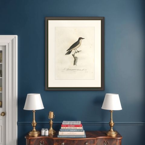 1807 Vermilion Flycatcher Handcolored Print- Antique Ornithological Illustration, shown framed on a wall