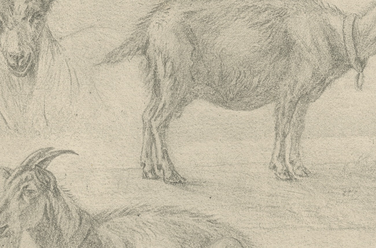 Study of Three Goats, Antique Goupil Photogravure after a Drawing, circa 1880, view 5