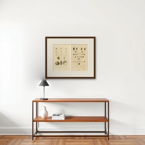 Antique Conchology Prints, Greenland Bivalves and Modiolaria Shells, 1842, shown framed on a wall