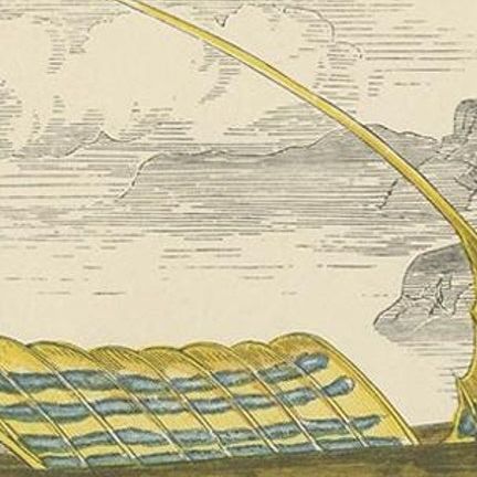 Antique Print of the Yellow Skulpin Fish by J. Couch, circa 1870, close-up 1