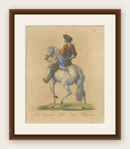 Antique Andalusian Horse Lithograph by Brodtmann, Equus Hispanicus, 1816, shown framed