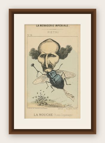 Imperial Menagerie: Joseph-Marie Piétri - The Fly (Deceit - Espionage), 1870, shown framed