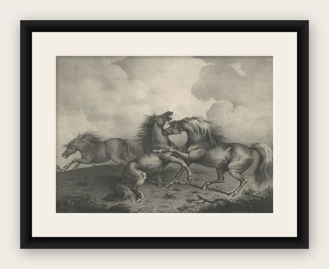 Original Antique Lithograph of a Horse Showing the Passion 'Rage & Agony', 1827, shown framed