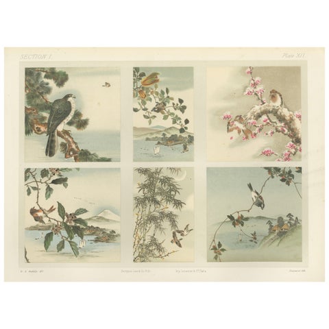 Antique Japanese Bird and Landscape Print: Six Panels of Nature’s Harmony, 1882