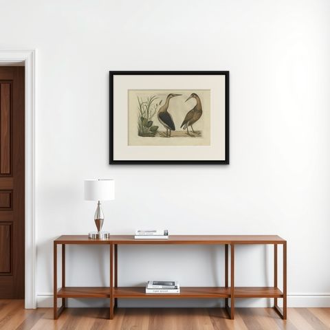 Antique Bird Print of Herons by Sepp & Nozeman, 1770, shown framed on a wall