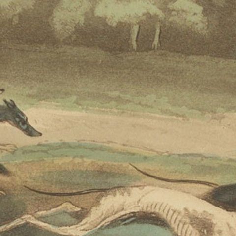 Antique Print of Hunting Dogs Chasing, circa 1880, close-up 2