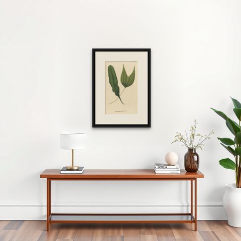 Lushly Handcolored Lithograph of Ferns of Java 'Polypodium', 1829, shown framed on a wall