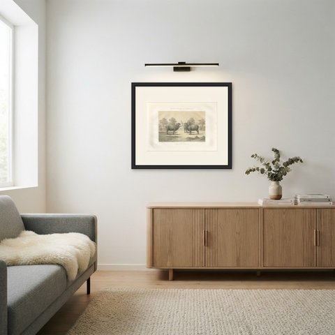 Rambouillet Merino Ram and Ewe of 1786, Antique Sheep Print, 1873, shown framed in a room