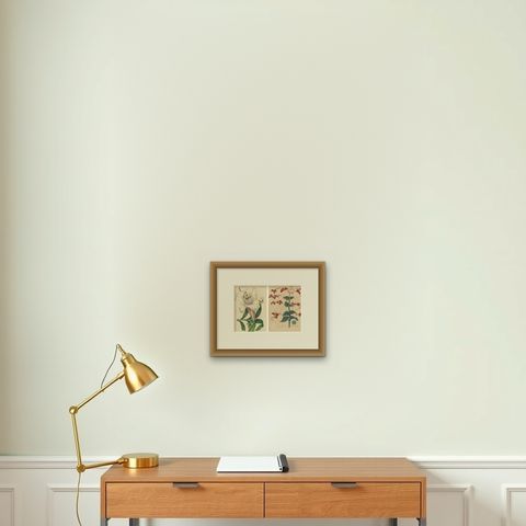 Set of 2 Antique Botany Prints, Lilium Brownii, Clerodendrum Japonicum, 1845, shown framed on a wall