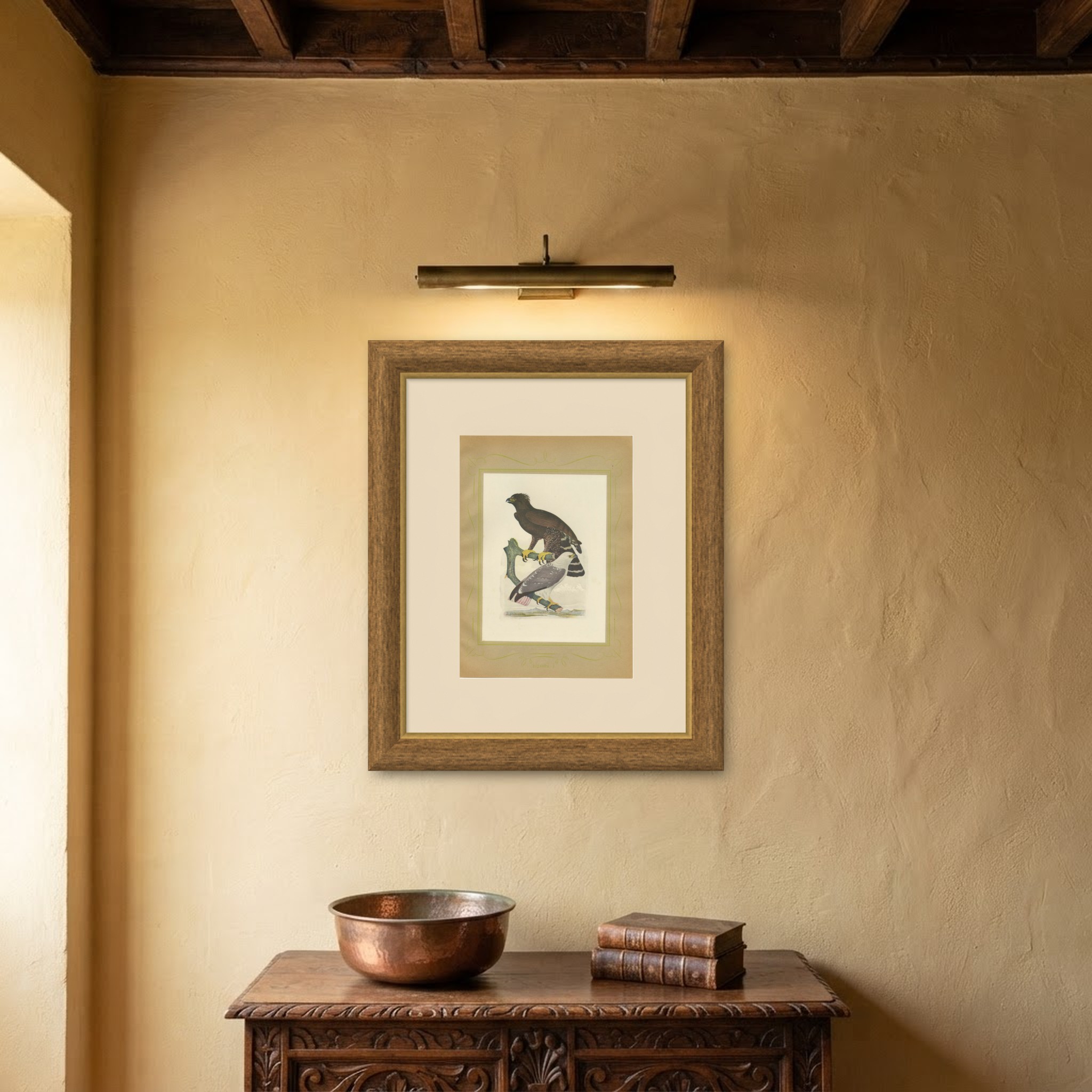 Ornate and Black-and-White Hawk-Eagles, Brazilian Bird Print, Descourtilz, 1944, shown framed on a wall