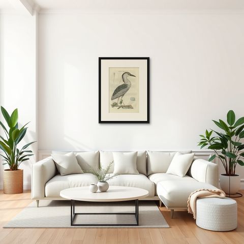 Antique Bird Print of the Black-Crowned Night Heron by Sepp & Nozeman, 1789, shown framed in a room