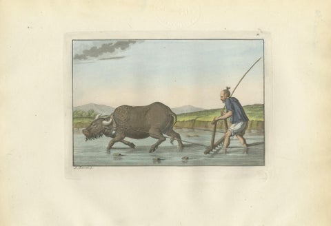 Chinese Farmer with Water Buffalo, Agricultural Scene, Ferrario Print of 1815, view 2