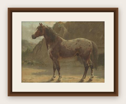 Antique Print of the Pinzgauer Horse by O. Eerelman, 1898, shown framed