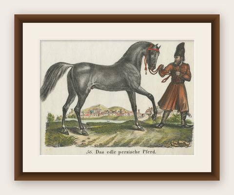 Antique Print of Persian Horse, shown framed