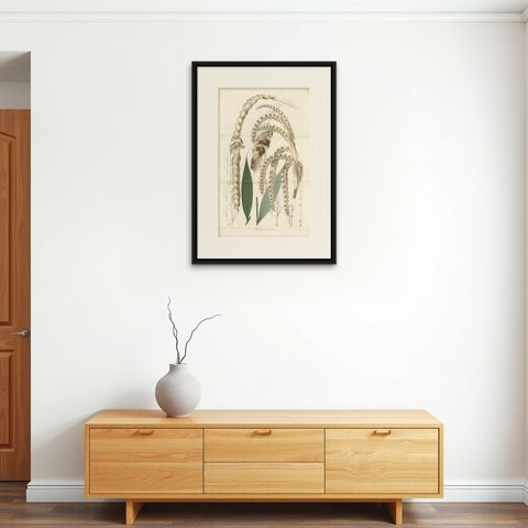 Large Original Antique Botanical Illustration of the Plectocomia Elongata, c1860, shown framed on a wall