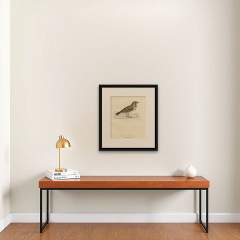 Decorative Old Bird Print of the Common Horned Lark, 1927, shown framed on a wall