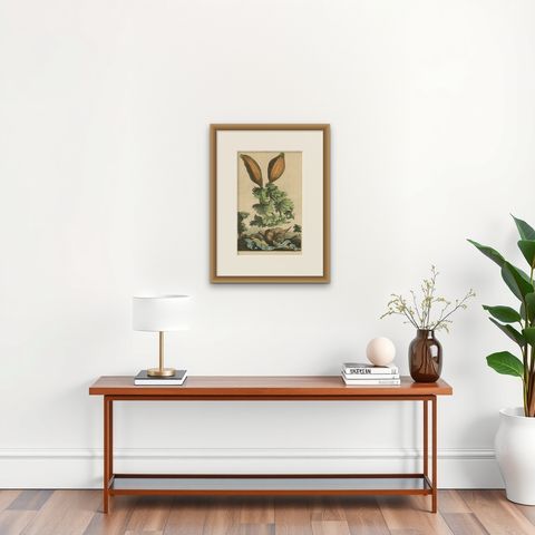 Botanical Illustration of Soursop (Annona muricata) from Munting’s 1696 Herbal, shown framed on a wall