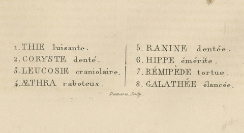 Crustacean Varieties in Drapiez's Natural Sciences Dictionary, 1845, close-up 1